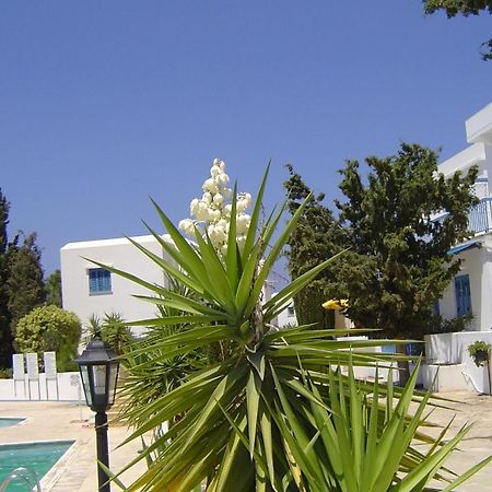Ikaria Village Maisonette 12 Paphos Eksteriør bilde